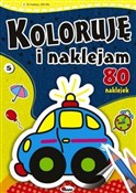 Polska książka : Koloruję i... - Piotr Kozera