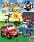 Polska książka : Wizyta u b... - Karolina Górska