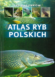 Picture of Atlas ryb polskich 140 gatunków
