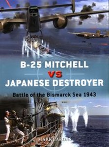 Picture of B-25 Mitchell vs Japanese Destroyer Battle of the Bismarck Sea 1943