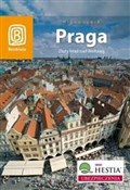 Praga Złot... - Aleksander Strojny -  books from Poland