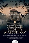 Polska książka : Szczęście ... - Karolina Stępień