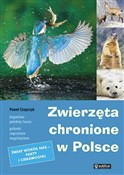 Zwierzęta ... - Paweł Czapczyk -  Książka z wysyłką do UK