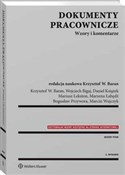 Dokumenty ... - Krzysztof Wojciech Baran, Wojciech Bigaj, Daniel Książek, Mariusz Lekston, Marzena Łabędź -  foreign books in polish 