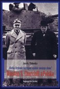 polish book : Wielka Bry... - Jacek Tebinka
