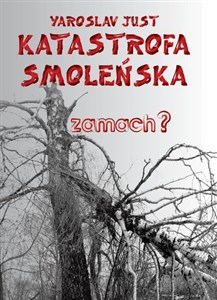 Picture of Katastrofa smoleńska zamach?