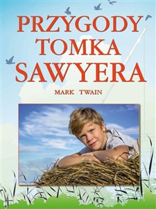 Picture of Przygody Tomka Sawyera