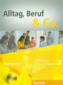 Alltag Ber... - Norbert Becker, Jorg Braunert -  foreign books in polish 
