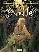polish book : Brindille ... - Frederic Brremaud, Federico Bertolucci