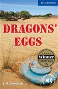 Książka : Dragons' E... - J. M. Newsome