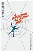 Sanatorium... - Bruno Schulz -  Polish Bookstore 