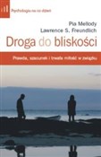 Droga do b... - Pia Mellody, Lawrence S. Freundlich -  foreign books in polish 