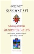 Adhortacja... - XVI Benedykt -  books from Poland