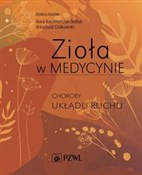 Polska książka : Zioła w Me... - Ilona Kaczmarczyk-Sedlak, Arkadiusz Ciołkowski