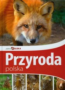 Picture of Piękna Polska Przyroda polska