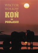 polish book : Koń na Pod... - Wiktor Wołkow, Andrzej Strumiłło