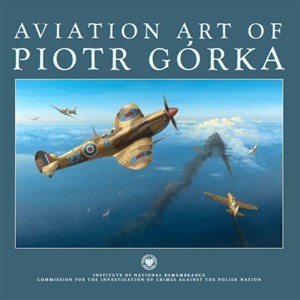 Picture of Aviation art of Piotr Górka