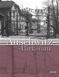 Picture of Auschwitz-Birkenau