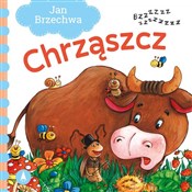 Chrząszcz - Jan Brzechwa, Agata Nowak -  Polish Bookstore 