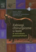 Zabiegi ch... - David A. Wilson, Joanne Kramer, Gheorghe M. Constantinescu, Keith R. Branson -  books in polish 