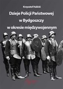 Dzieje Pol... - Krzysztof Halicki -  books from Poland