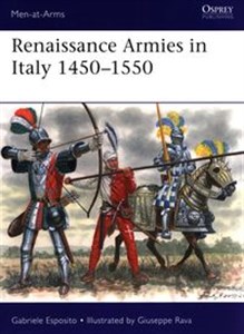 Picture of Renaissance Armies in Italy 1450-1550