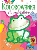 Polska książka : Kolorowank... - Ilona Brydak (ilustr.)