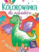 Kolorowank... - Ilona Brydak (ilustr.) -  foreign books in polish 
