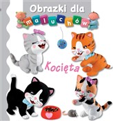 Polska książka : Kocięta. O... - Nathalie Belineau, Emilie Beaumont