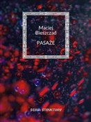 Pasaże - Maciej Bieszczad -  books from Poland