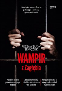 Picture of Wampir z Zagłębia