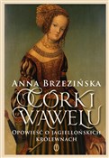 Polska książka : Córki Wawe... - Anna Brzezińska