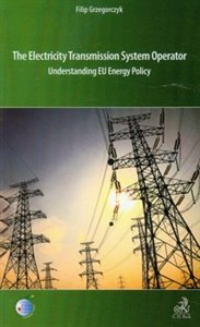 Picture of The electricity transmission system operator Understanding EU Energy Policy