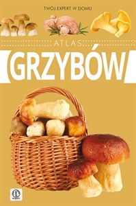 Picture of Atlas grzybów