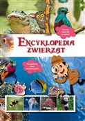 Encykloped... - Marta Kępa - Ksiegarnia w UK