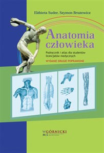 Picture of Anatomia człowieka Podręcznik i atlas dla studentów licencjatów