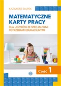 Matematycz... - Kazimierz Słupek -  Polish Bookstore 