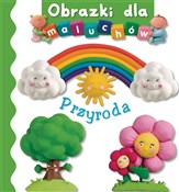 Polska książka : Przyroda O... - Nathalie Belineau, Emilie Beaumont