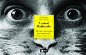 Zobacz : Animal Rat... - Paweł Fortuna, Łukasz Bożycki