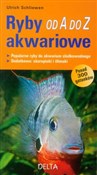 Ryby akwar... - Ulrich Schliewen -  Polish Bookstore 