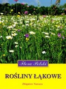 polish book : Rośliny Łą... - Zbigniew Nawara