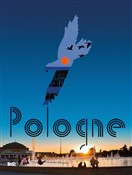 polish book : Pologne - Eustachy Rylski
