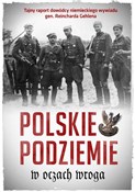 Książka : Polskie po...