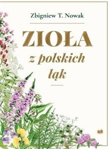 Obrazek Zioła z polskich łąk