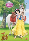 Disney Ksi... -  Książka z wysyłką do UK