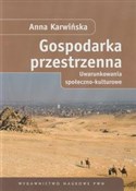 Gospodarka... - Anna Karwińska -  foreign books in polish 