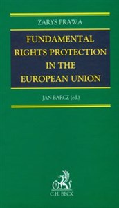 Picture of Fundamental rights protection in the European Union