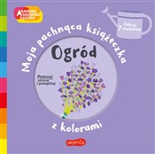 Ogród Akad... - Mr Iwi -  books from Poland