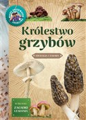 Młody obse... - Hanna Będkowska -  Polish Bookstore 