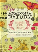Anatomia n... - Julia Rothman -  books from Poland